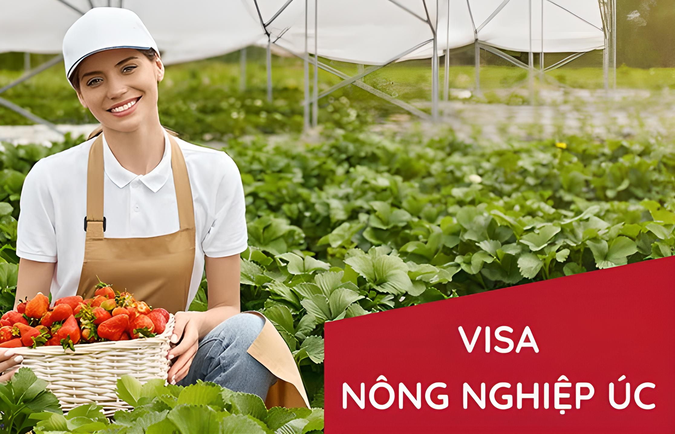 Visa nông nghiệp úc 403 - Tất cả thông tin bạn cần biết